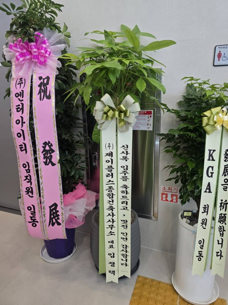 업로드 이미지