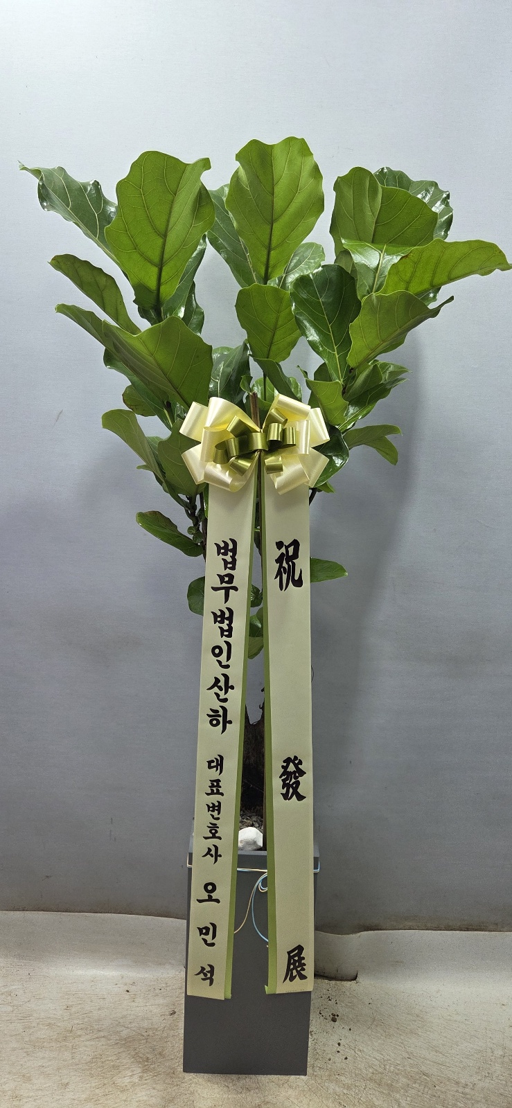 업로드 이미지
