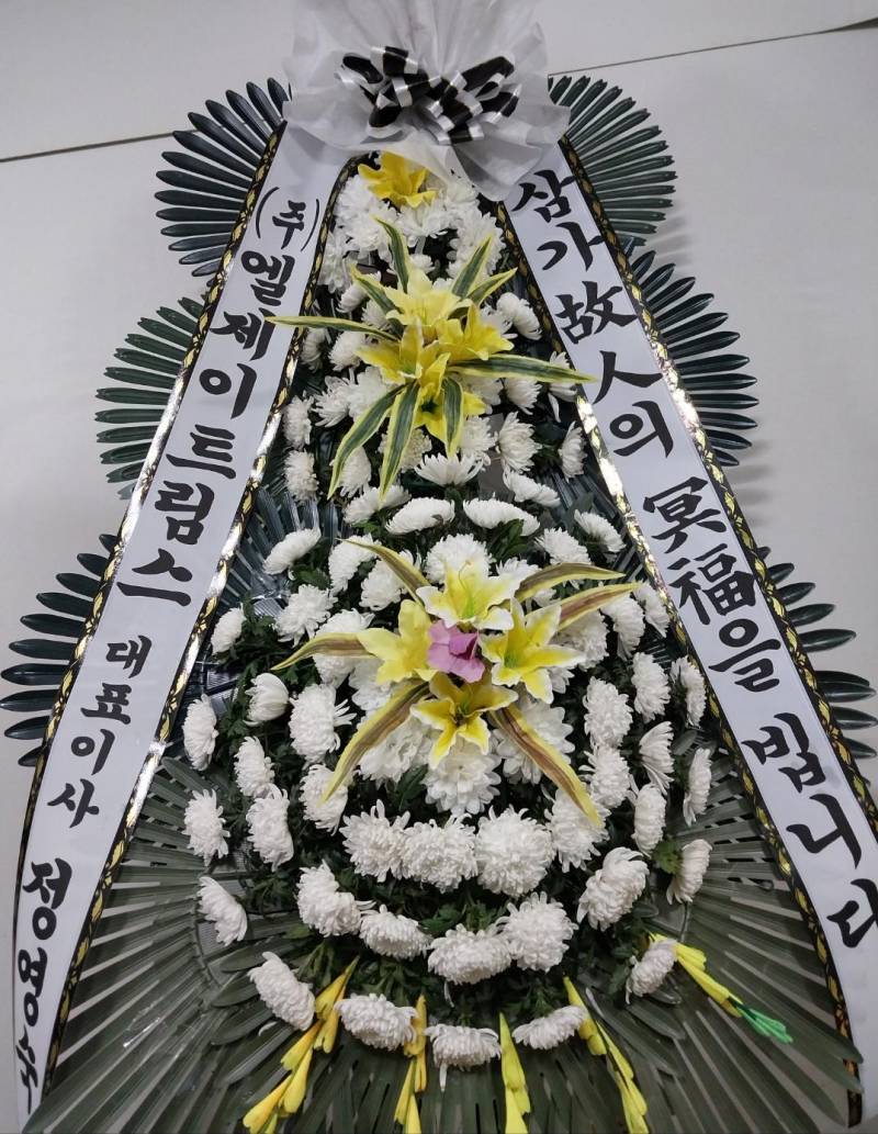 업로드 이미지