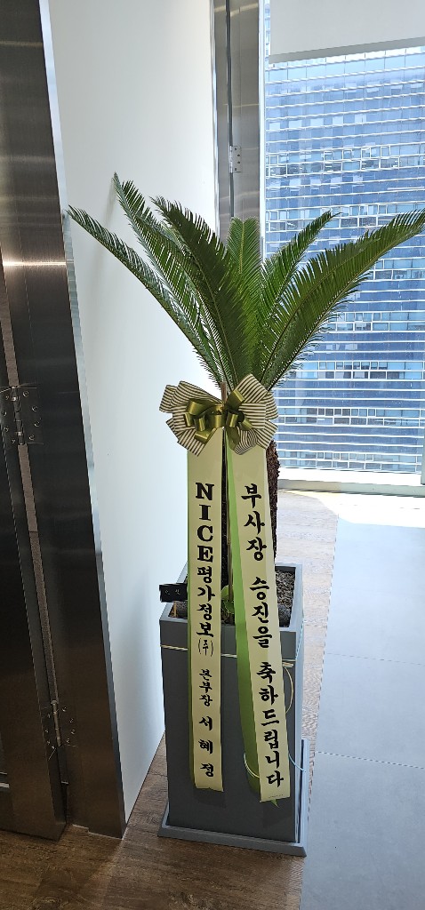 업로드 이미지