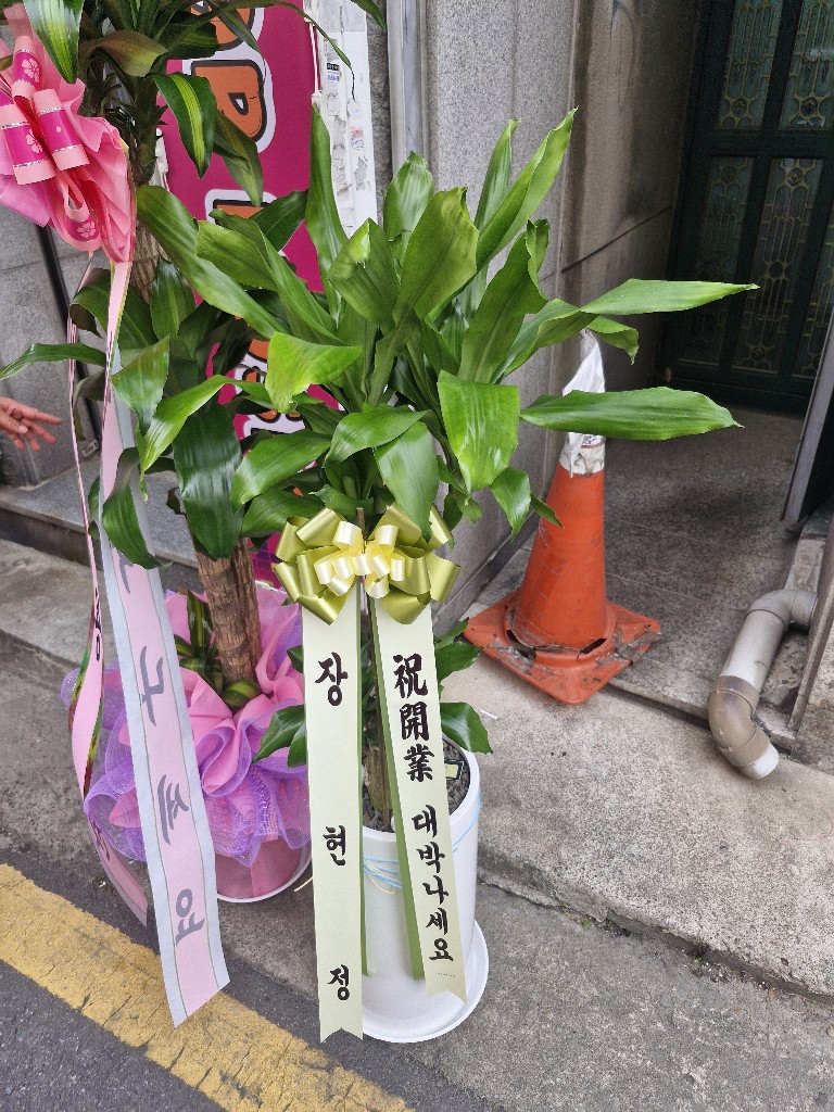 업로드 이미지