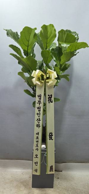배송사진