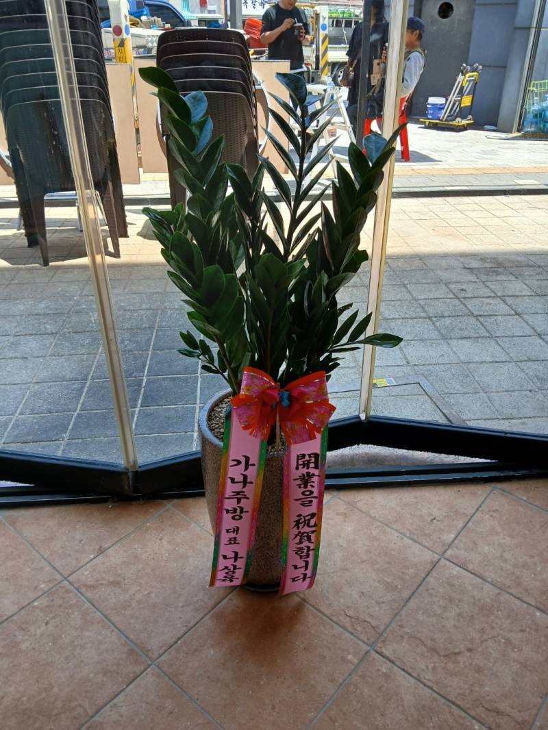 업로드 이미지