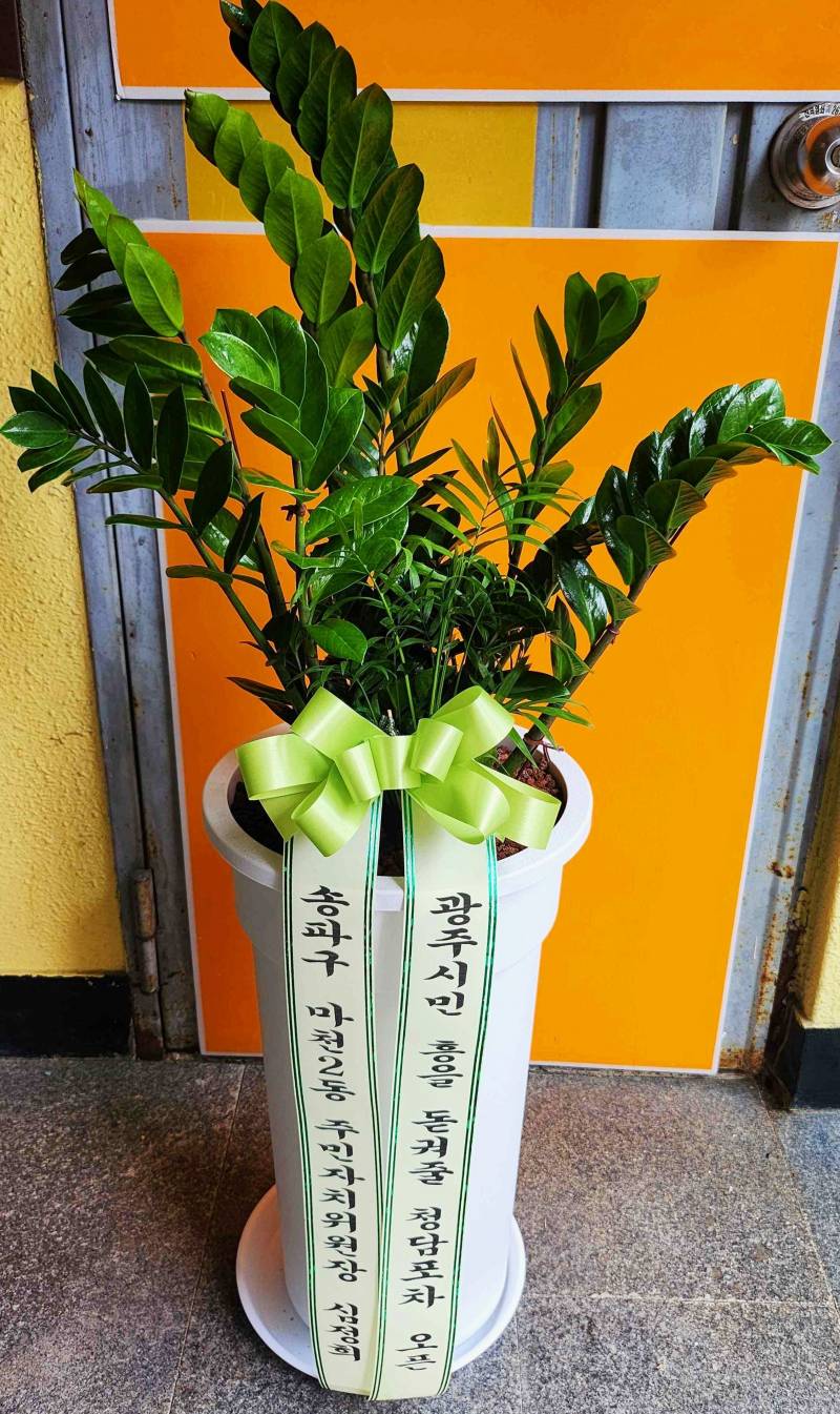 업로드 이미지