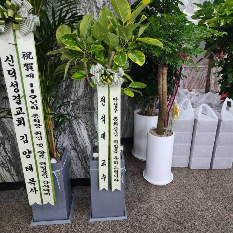 업로드 이미지