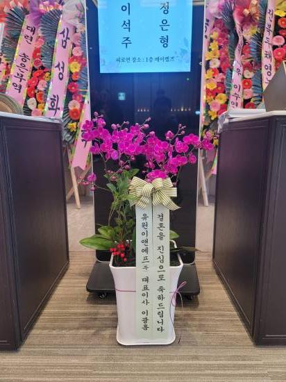 업로드 이미지