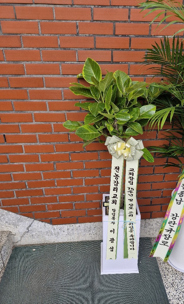 업로드 이미지