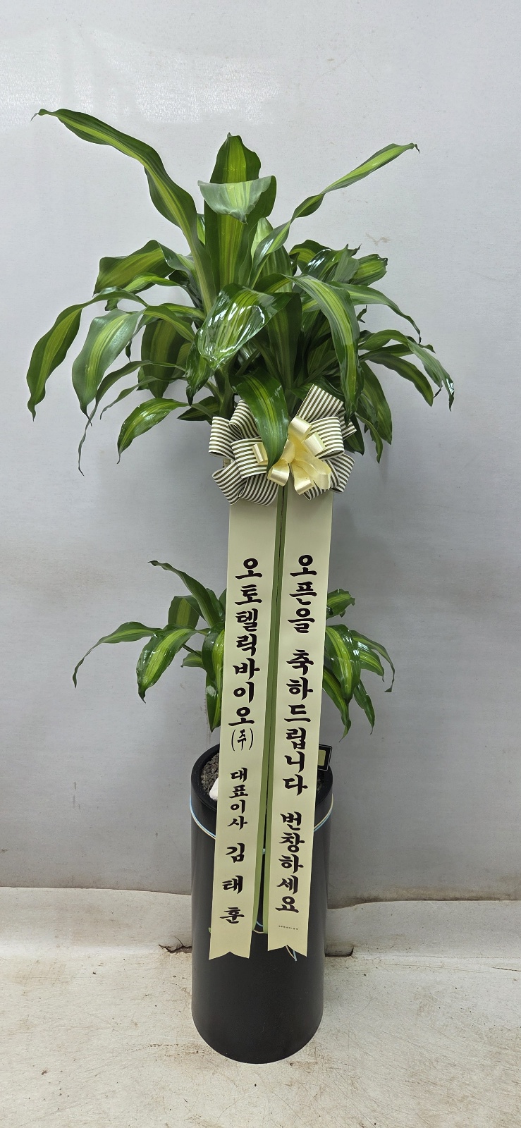 업로드 이미지