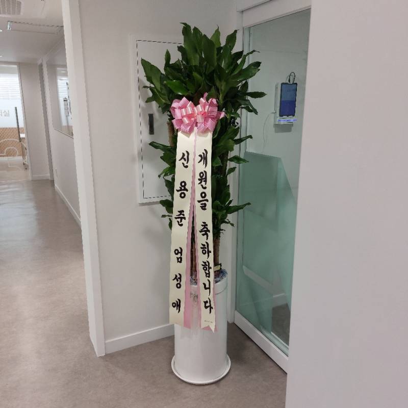 업로드 이미지