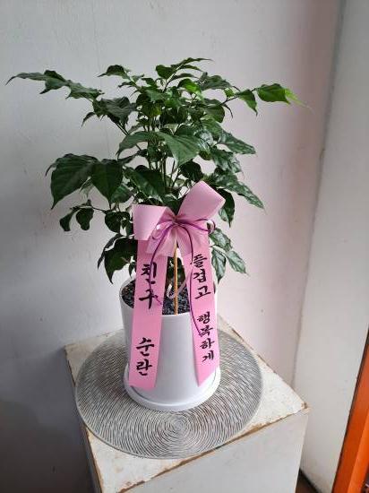 업로드 이미지