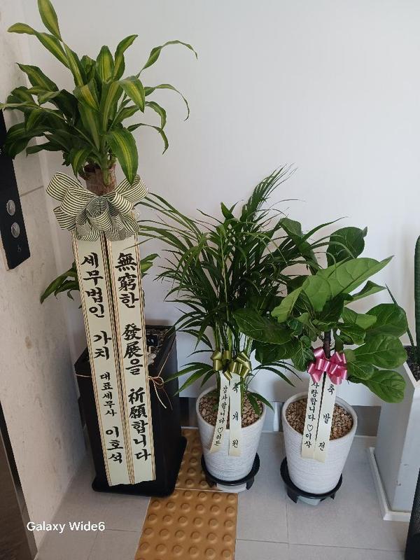업로드 이미지