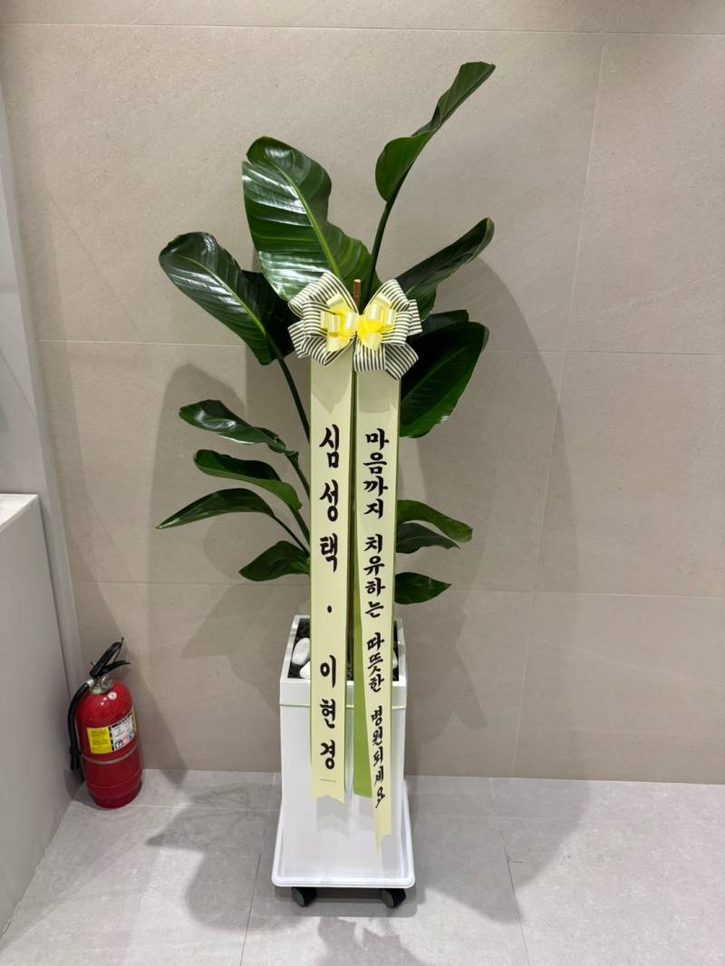 업로드 이미지