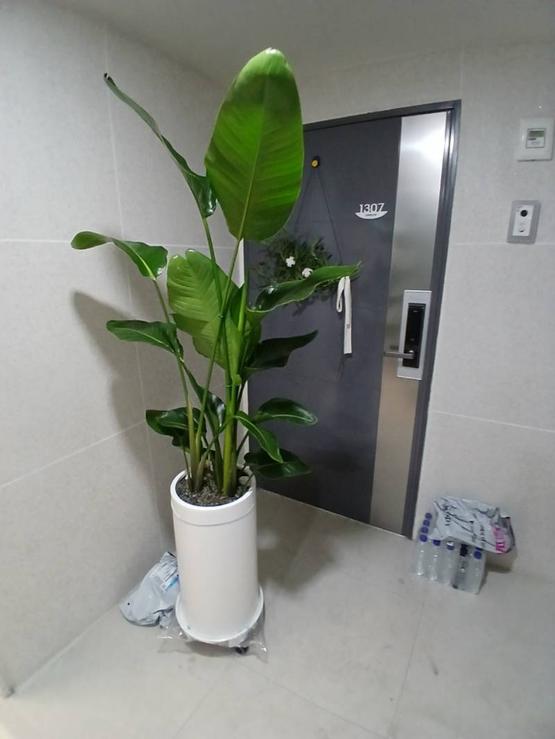 업로드 이미지
