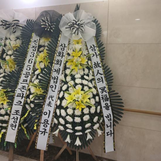 업로드 이미지