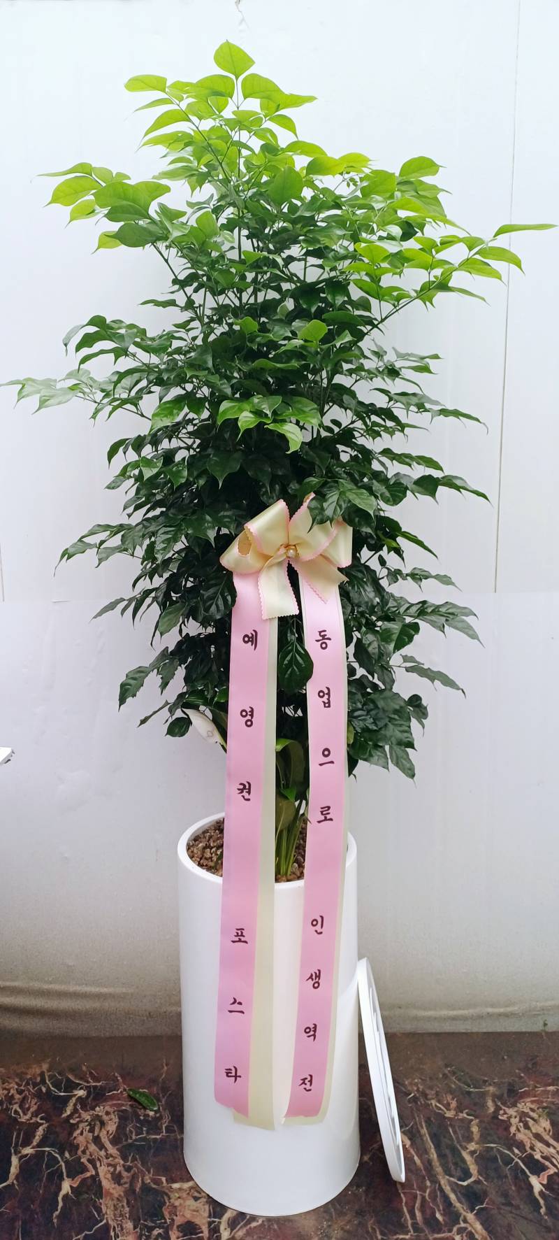 업로드 이미지