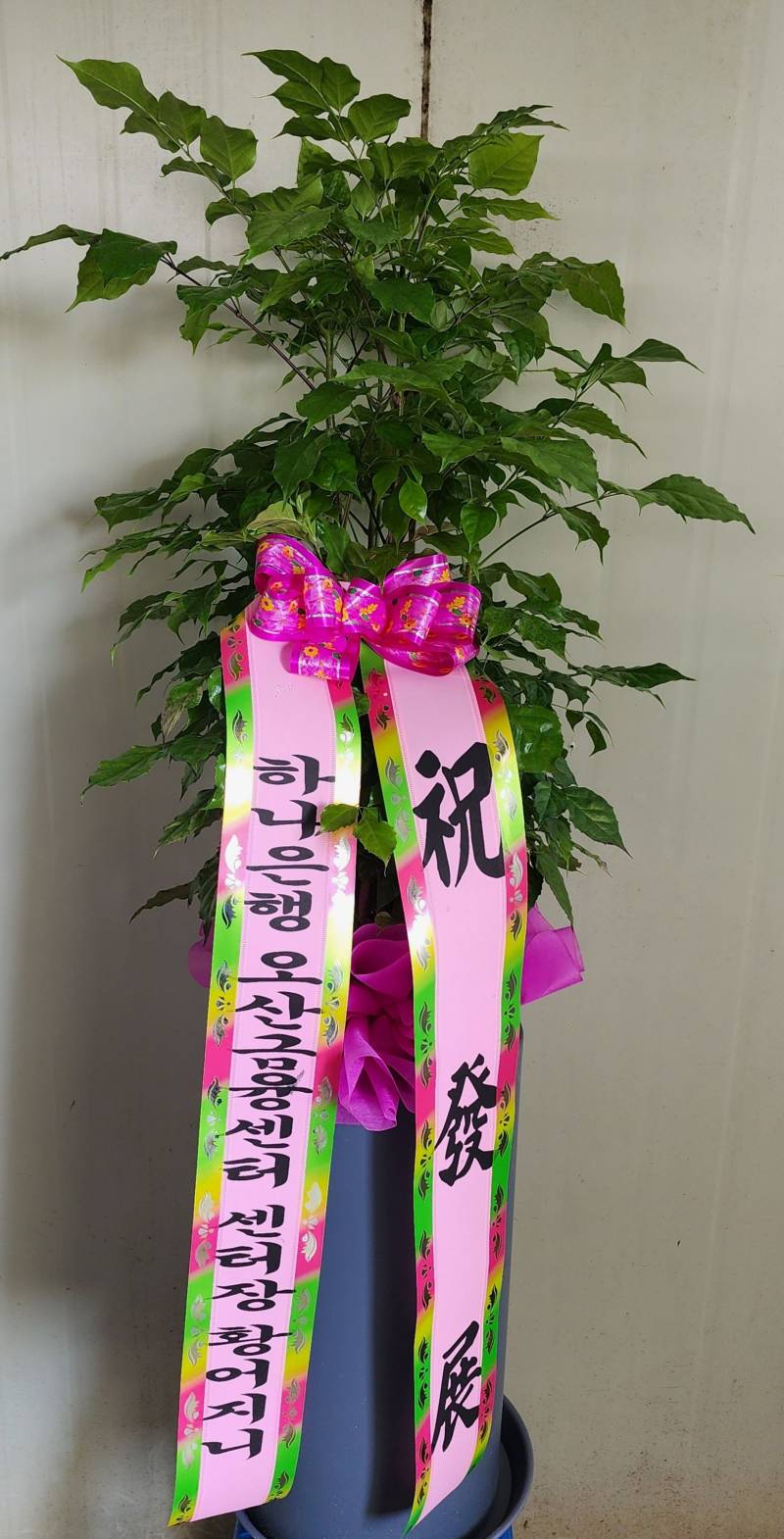 업로드 이미지