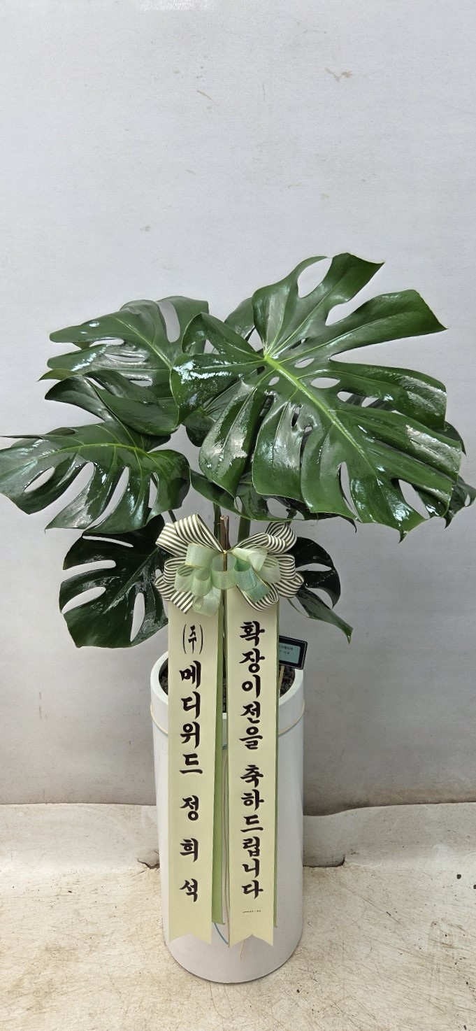 업로드 이미지