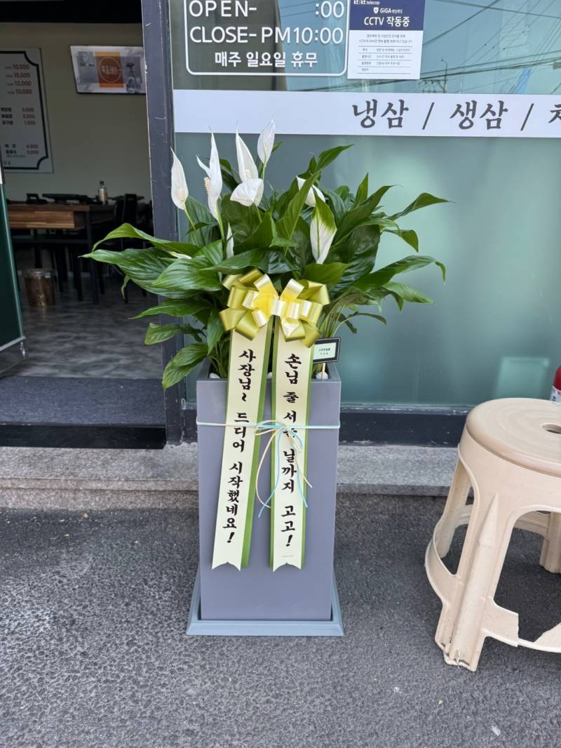 업로드 이미지