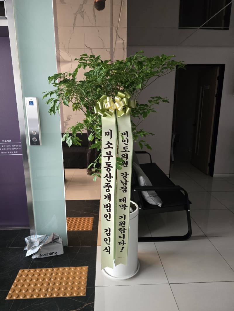 업로드 이미지