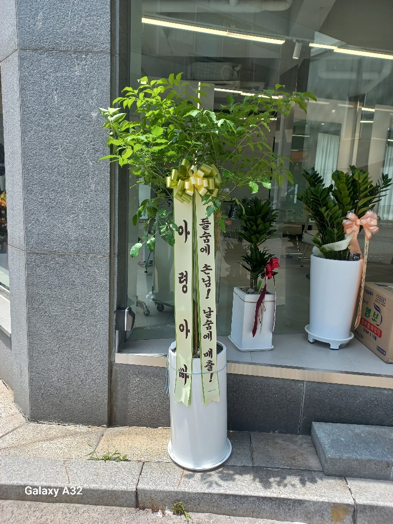 업로드 이미지