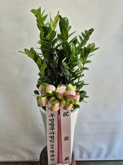 업로드 이미지