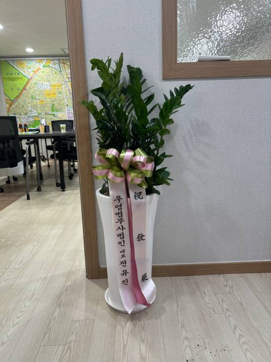 업로드 이미지