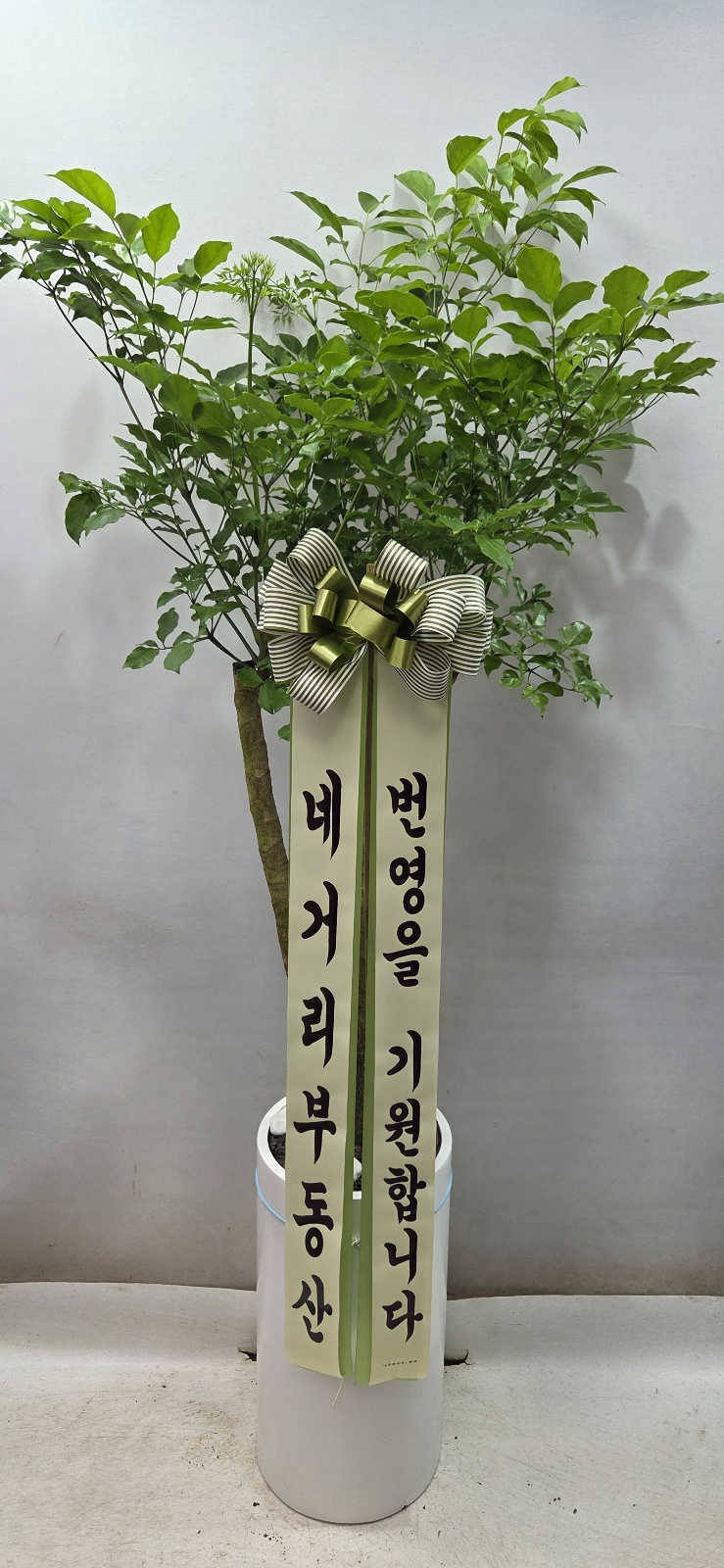 업로드 이미지