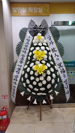 업로드 이미지