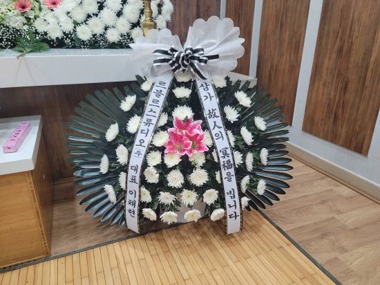 업로드 이미지