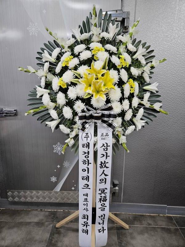 업로드 이미지