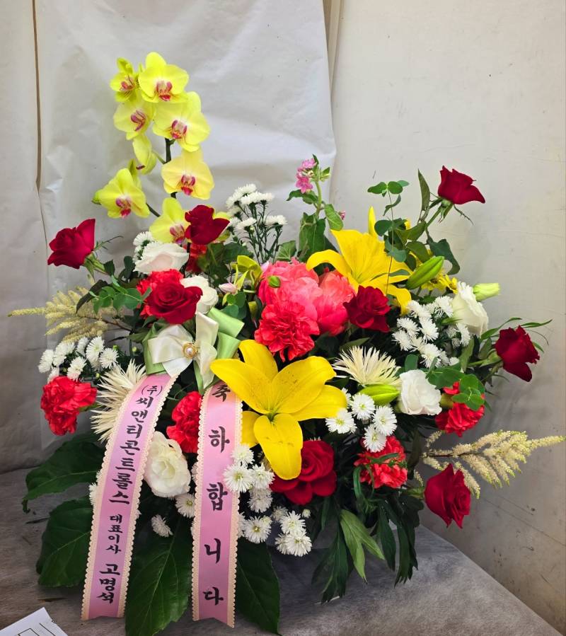 업로드 이미지