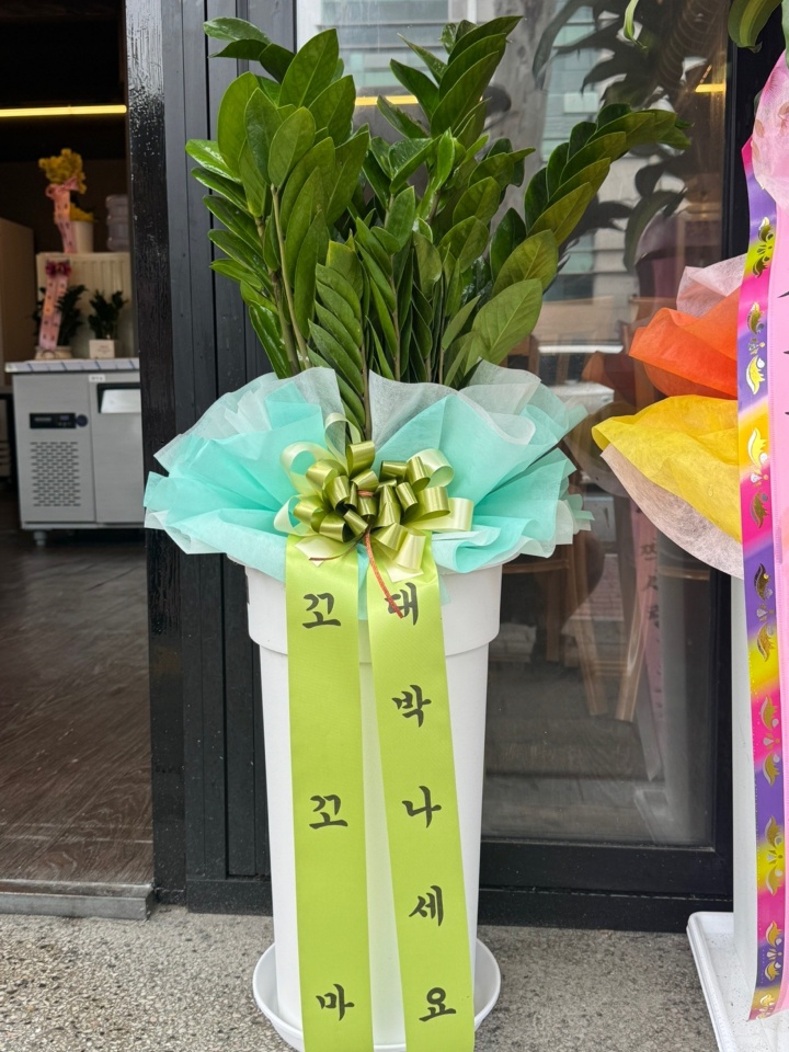 업로드 이미지