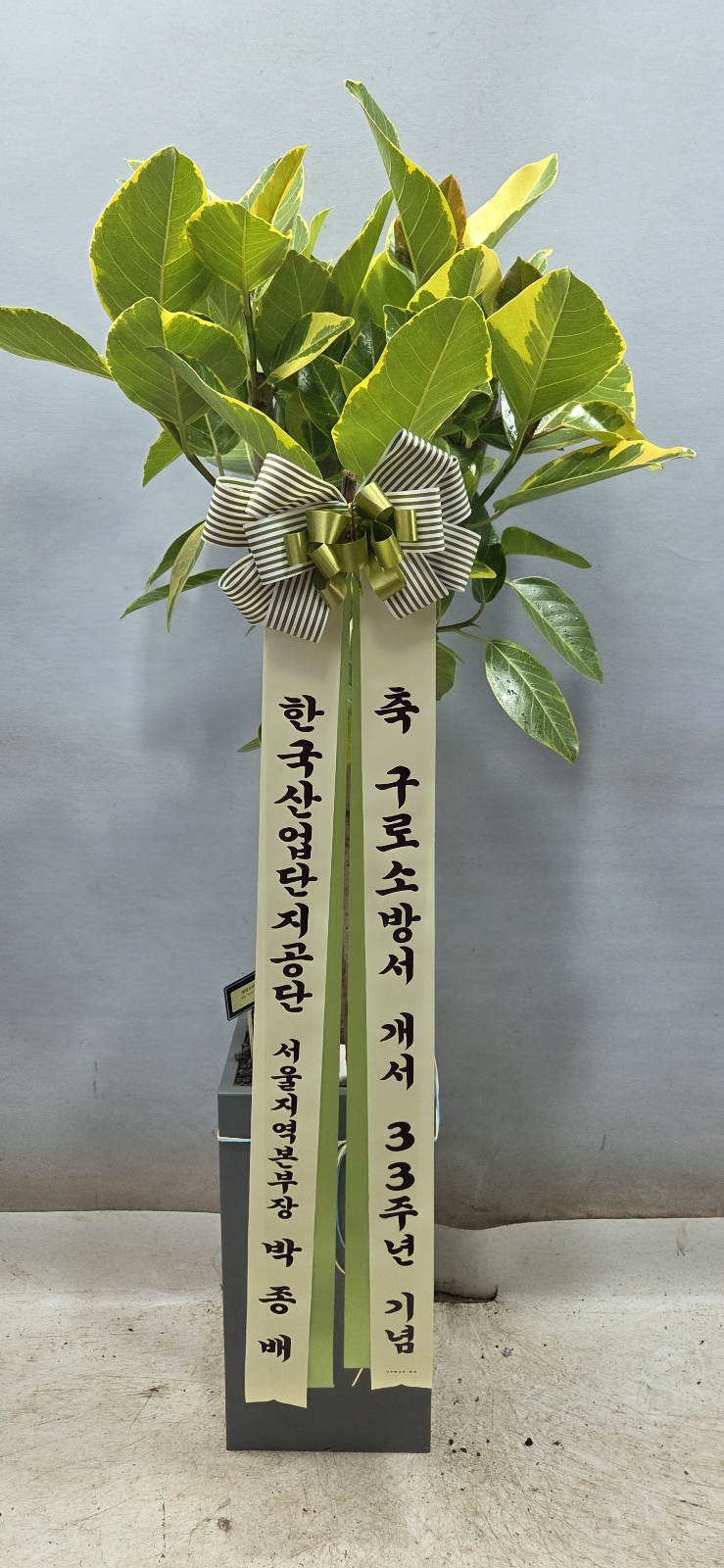 업로드 이미지