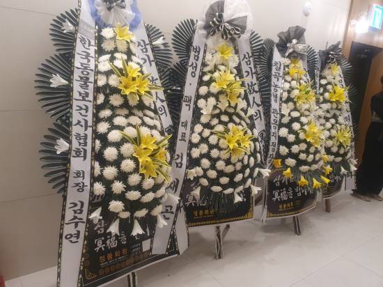 업로드 이미지