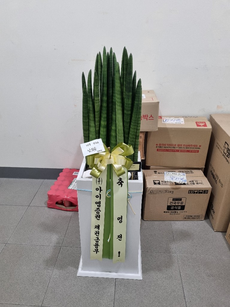 업로드 이미지