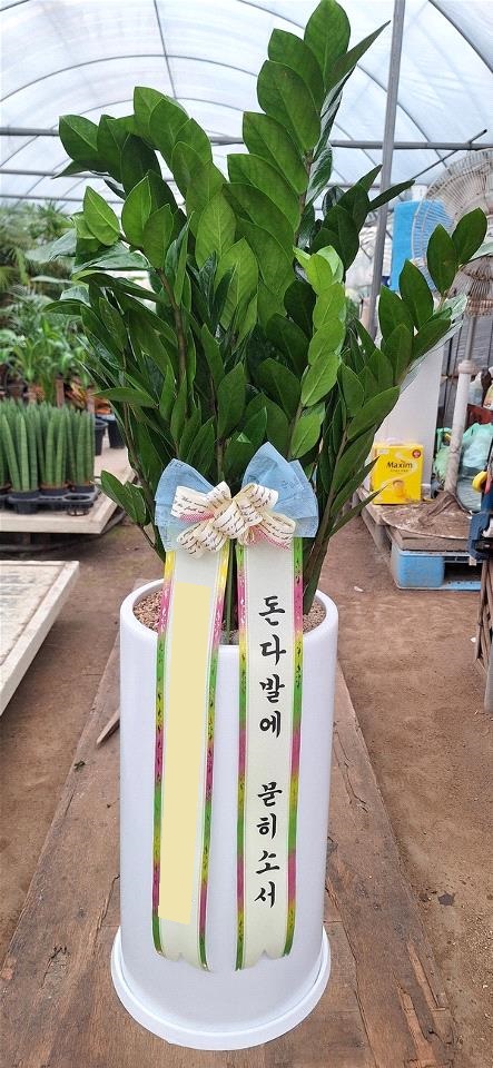 업로드 이미지