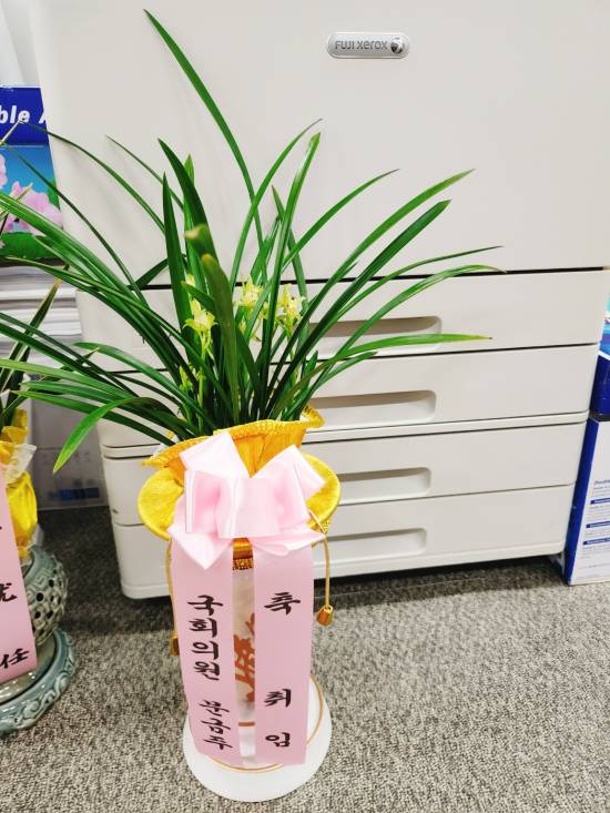 업로드 이미지