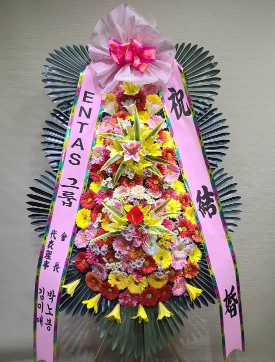 업로드 이미지