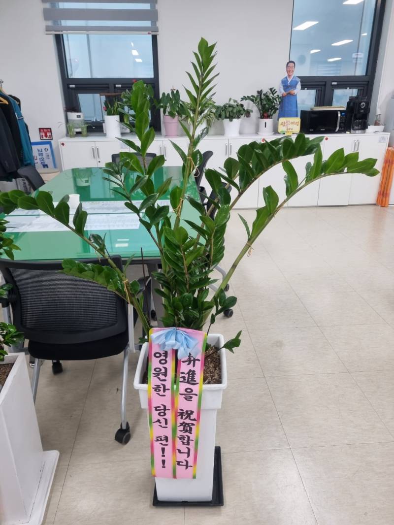 업로드 이미지