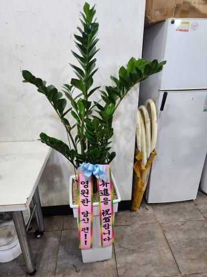 업로드 이미지