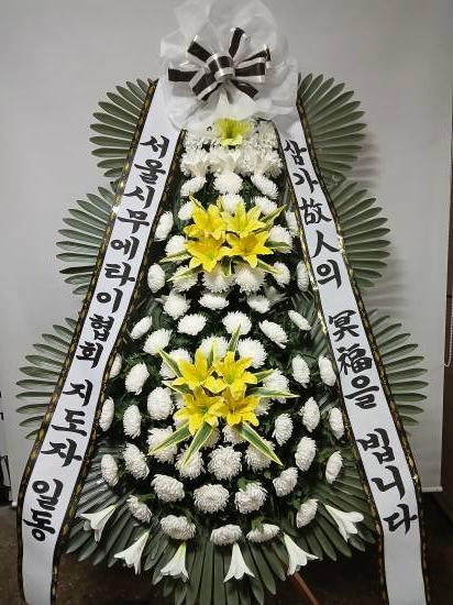 업로드 이미지