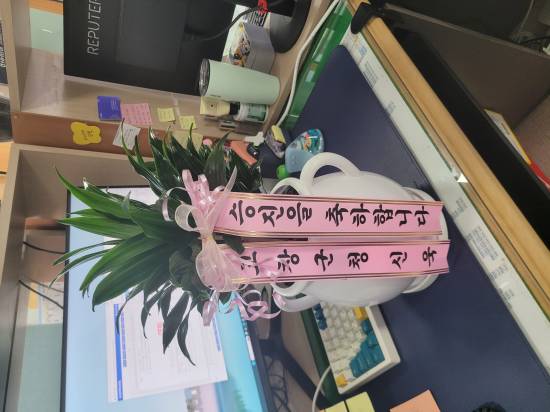 업로드 이미지
