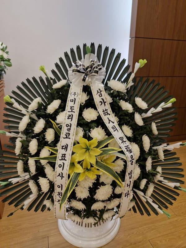업로드 이미지