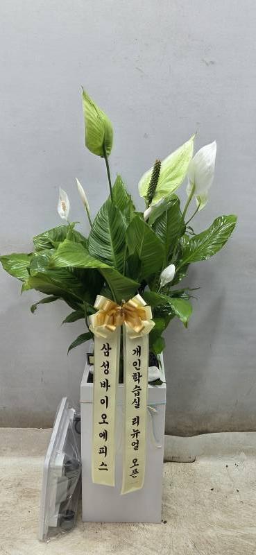 업로드 이미지