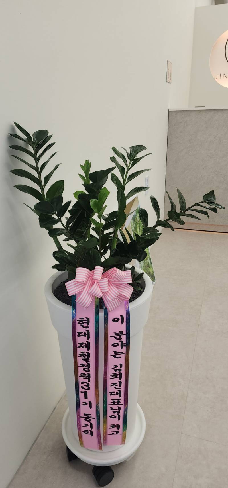 업로드 이미지