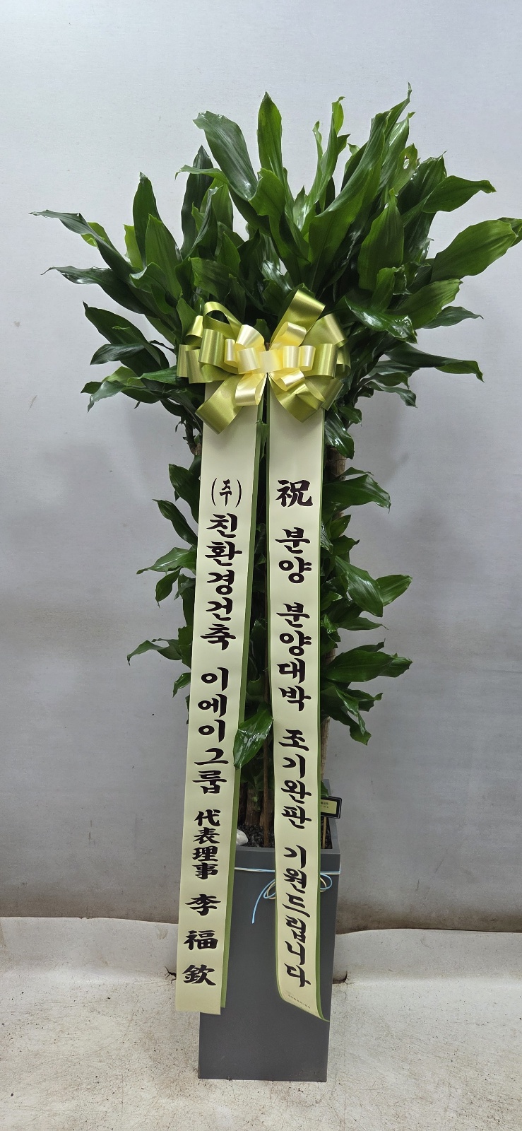 업로드 이미지