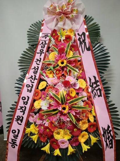 업로드 이미지