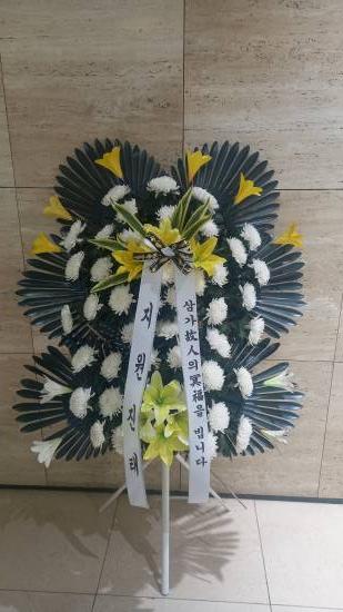 업로드 이미지
