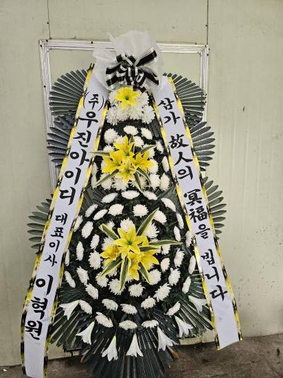 업로드 이미지