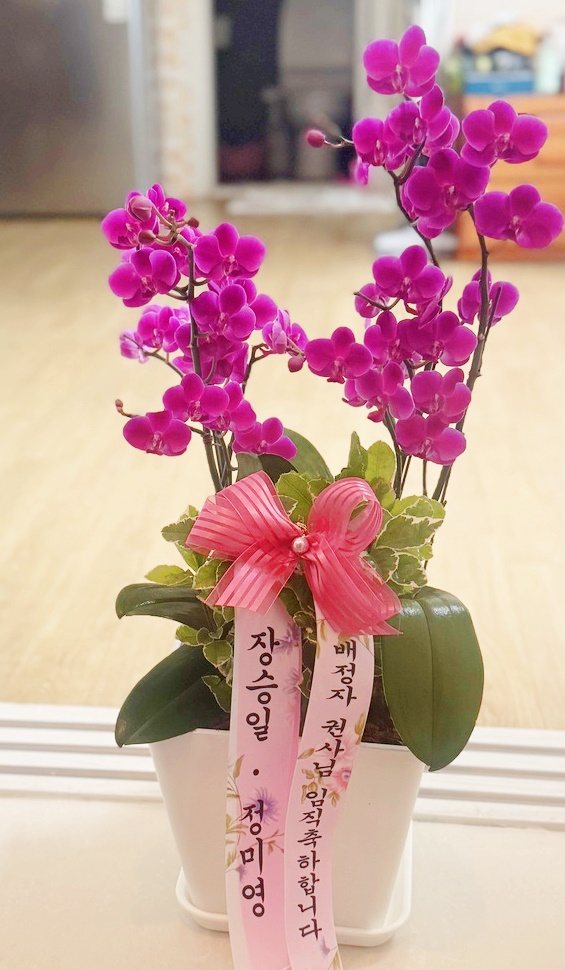 업로드 이미지